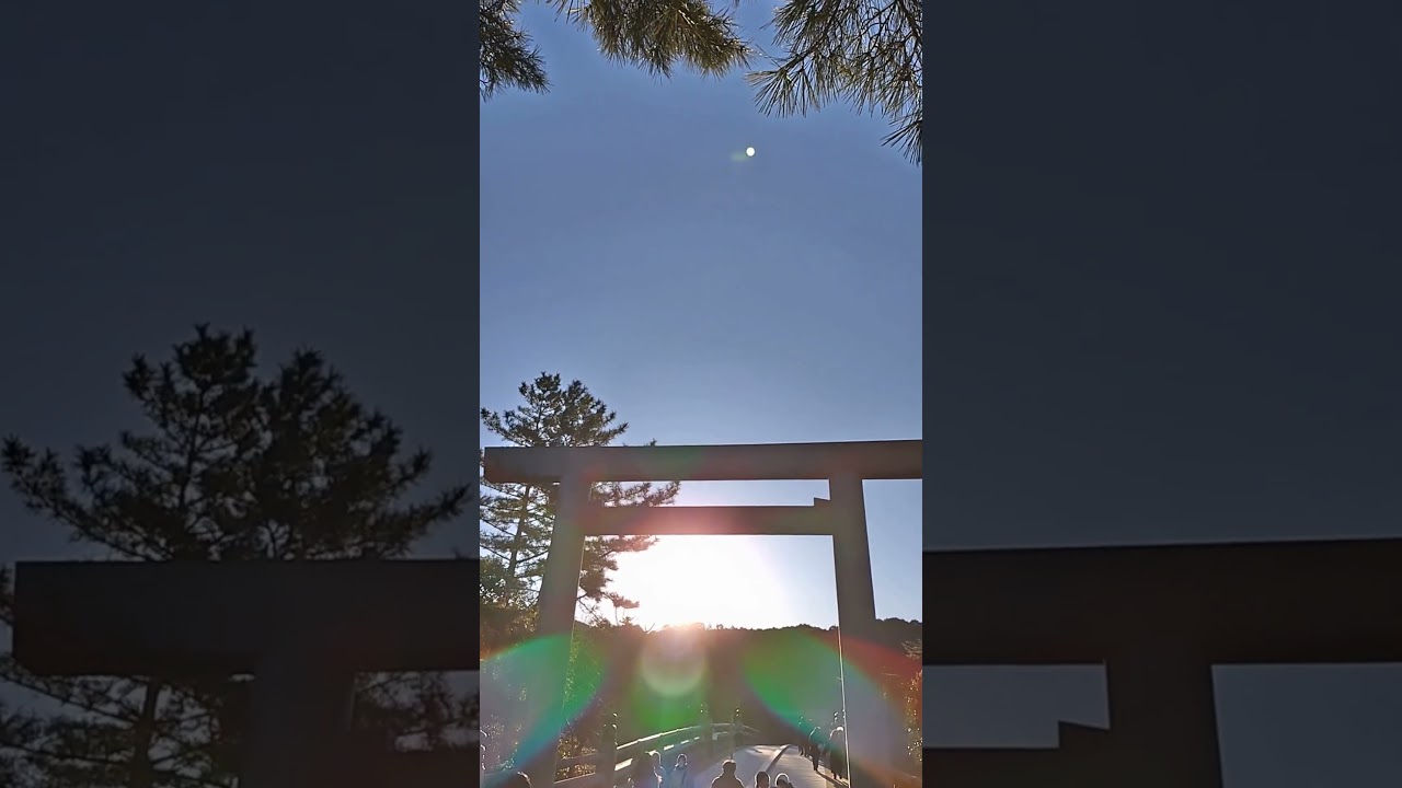 Morning Light at Ise Jingu Naiku