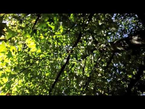 SistaSara aka Sara Fuga - DaSoulLightRiddim [AdOD001A]