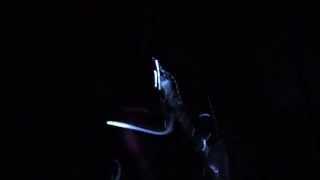 &quot;Young Heart&quot; -Blondfire