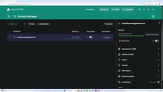 How To Redirect Spaceship Domain (Step By Step)