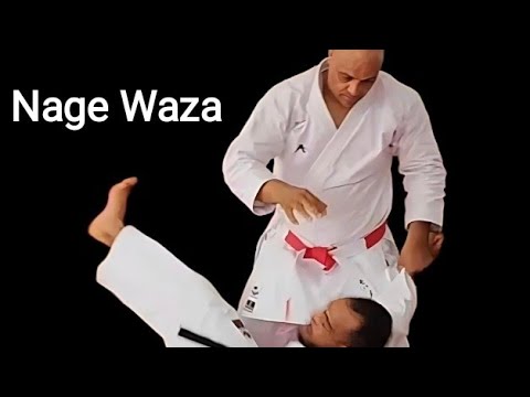 Nage Waza pour l'examen 4°dan (F R.M.K.D.A).