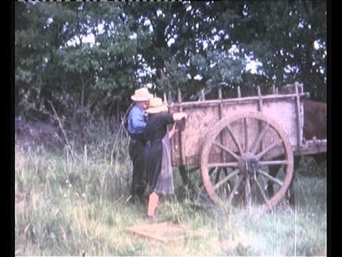 La pastorèla