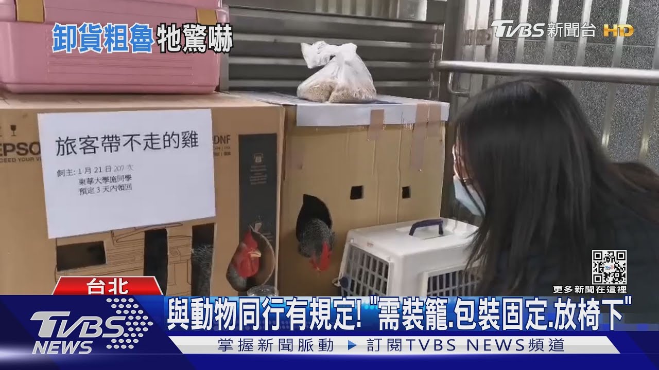 動物當貨物? 台鐵卸貨「籠內鳥疑受驚狂叫」