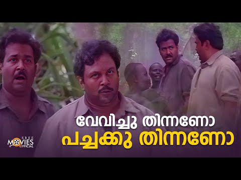വേവിച്ചു തിന്നണോ പച്ചക്കു തിന്നണോ | Kaalapaani Movie Scene | Mohanlal | Prabhu