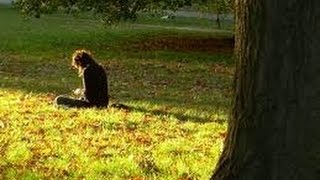 Alcoholics Anonymous, Ray O., 11th step