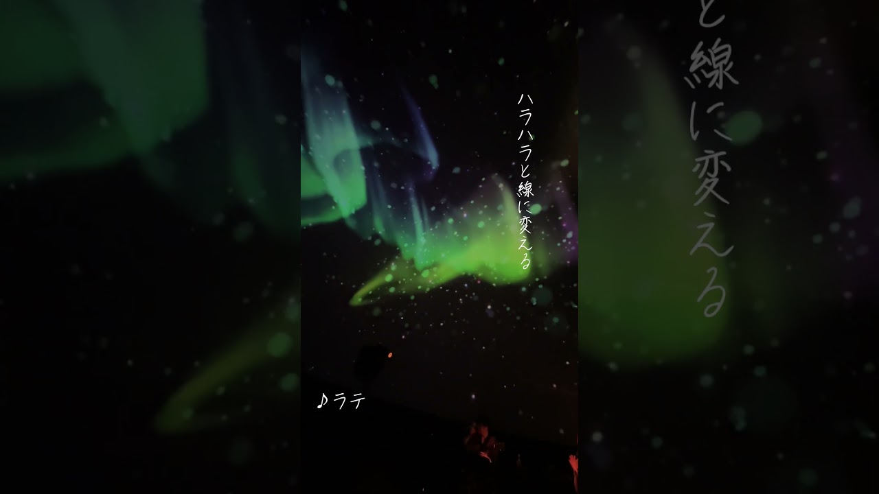 KEIKO / 『ラテ』 #keiko #shorts