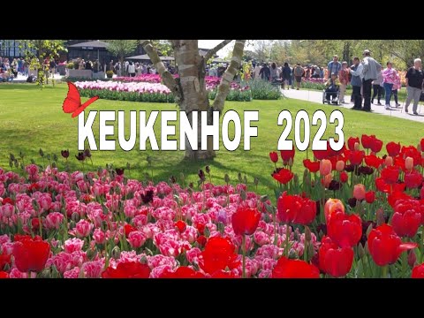 KEUKENHOF HOLLAND 2023. DER SCHÖNSTE FRÜHLINGSGARTEN DER WELT.