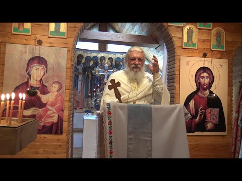 ZLOMENÁ KŘÍDLA A OTEVŘENÁ MYSL