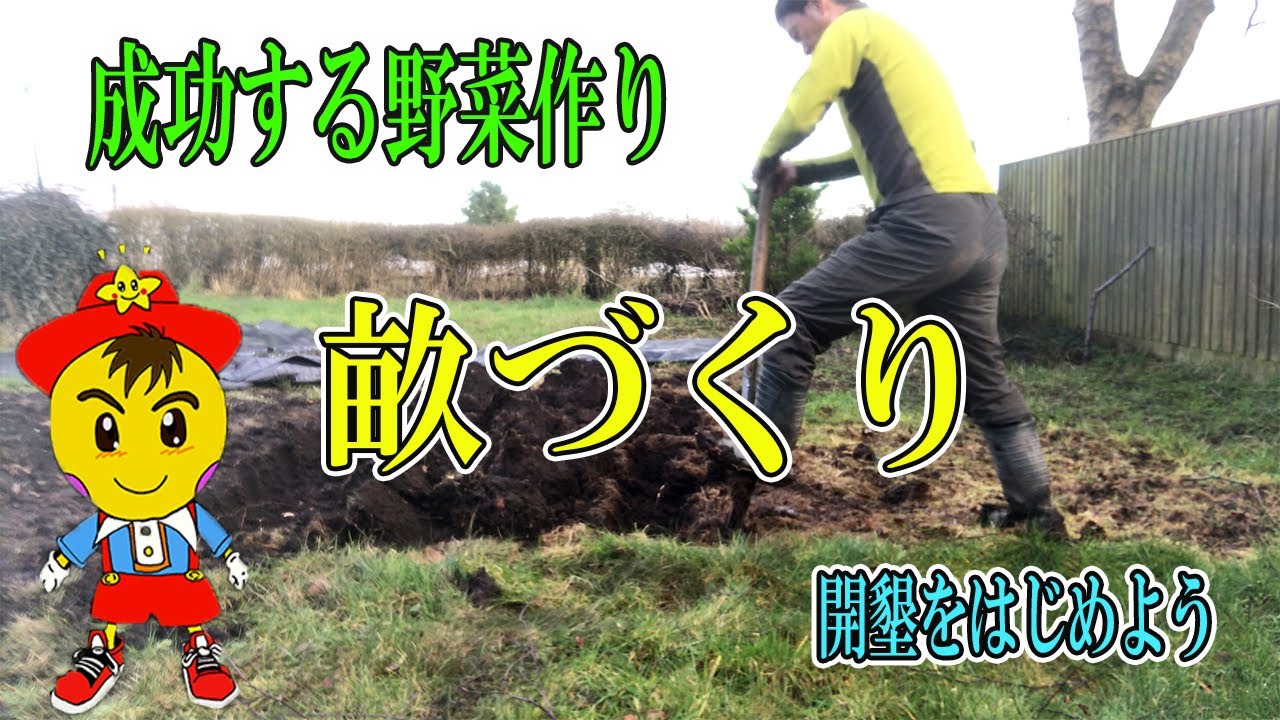 畑づくりの第一歩となる畝づくり|野菜がよく育つ理由と作業手順
