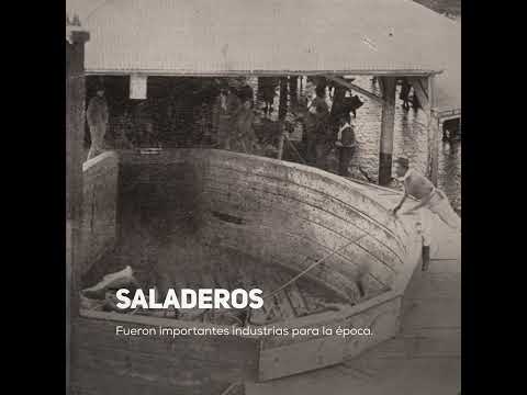 El Fundador - Rincón de Ramírez