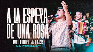 A La Espera De Una Rosa -  Daniel Restrepo &amp; @JafidNazar  - #EnVivo