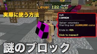 【Hypixelスカイブロック】謎のバグアイテム"null"とは？誰でも使える方法紹介します【マインクラフト】
