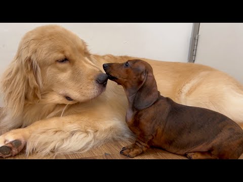 YouTube 썸네일