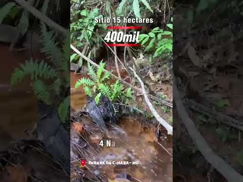 Sítio à venda em Ewbank da Câmara MG