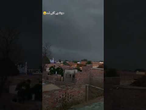 I Speak Punjabi totay #alijan