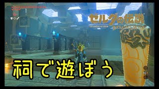 【実況】方向音痴が駆ける【ゼルダの伝説ブレスオブザワイルド】56