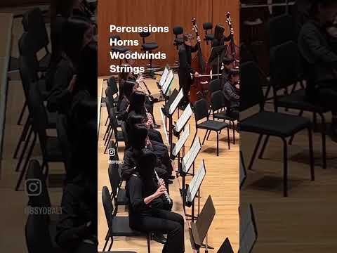 #throwbackTuesday to our Concert Orchestra’s take in Danzon No. 2 Arturo Marquéz #youthorchestra
