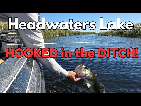 Bass Fishing Headwaters Lake: Canals and Ditches Are LOADED!