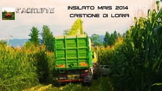 preview picture of video 'Insilato Mais 2014 a Castione Di Loria'
