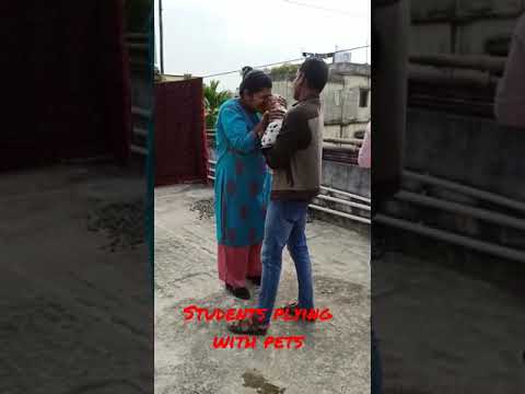 My Dear Students playing with pets #viral #shortvideos #cute #dogs #youtubeshorts #pratyush