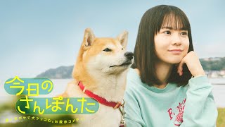【公式】FODオリジナルドラマ『今日のさんぽんた』60秒スポット＜FOD＞