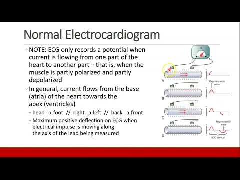 Applied Physiology for Anesthesia - 02 - CARDIAC - Part 5