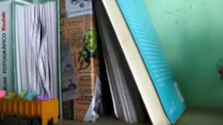 REALIDAD O SUEÑO - Jarabe de Palo