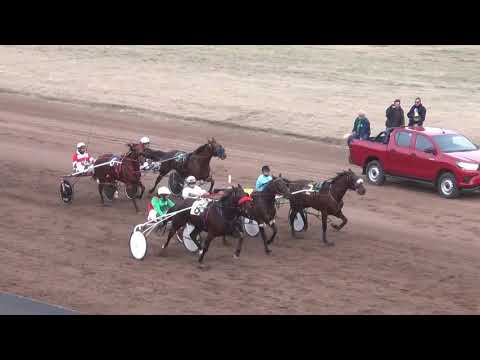 TROTE ARGENTINO 31 05 2019