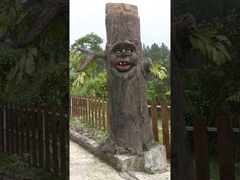 pohon hantu😱 #fyp #shorts