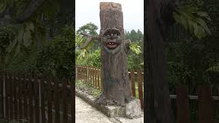 Download lagu pohon hantu😱 #fyp #shorts mp3