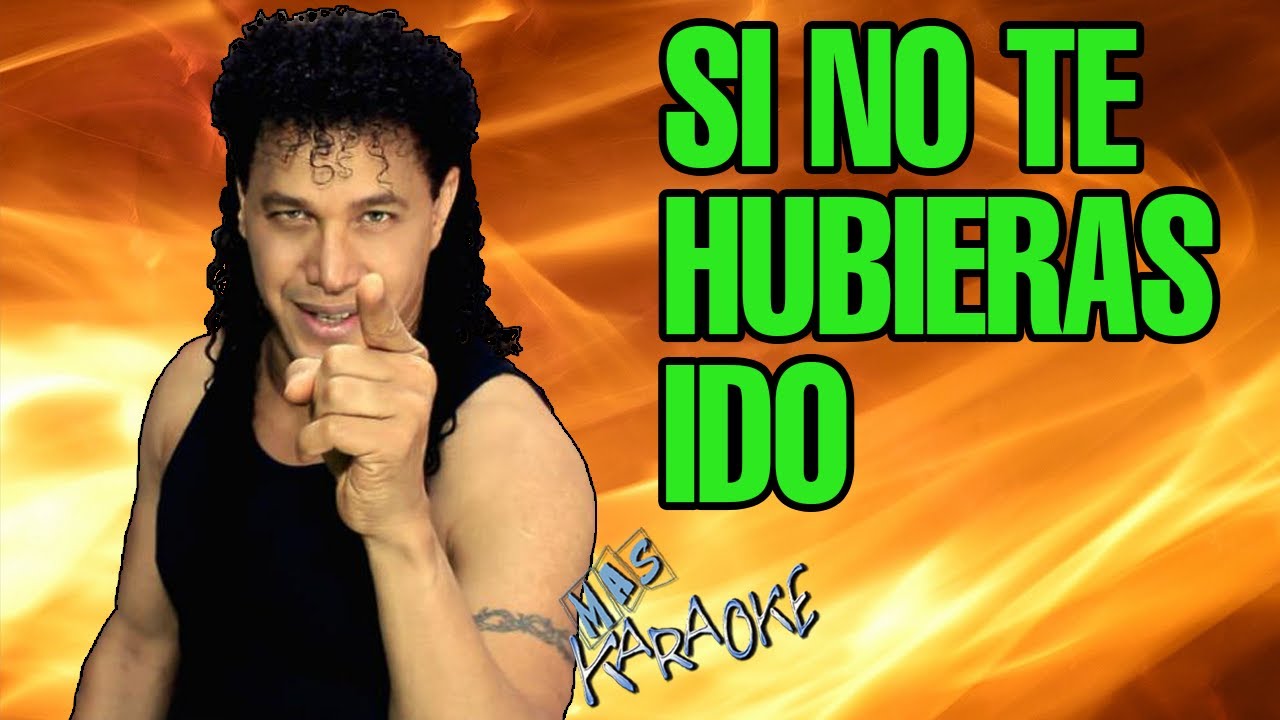 SI NO TE HUBIERAS IDO