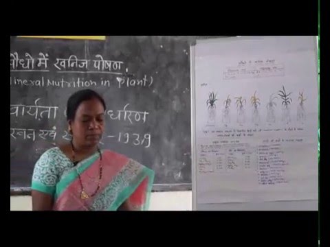 PRAGYA SCHOOL VIDEO LECTURE KANKER CHHATTISGARH CLASS 12 SUBJECT BIOLOGY CHAPTER  0601 IN HINDI ✅