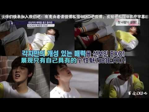 【百度EXO吧】140224 Mnet Wide EXO Cut 720p 精效中字