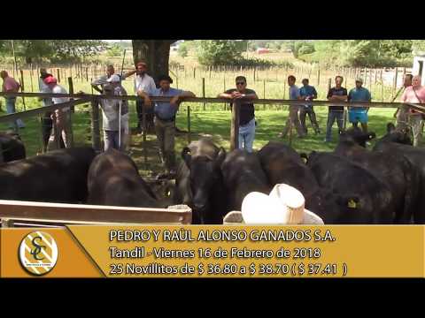 16-02-18 Venta de Hacienda al Kilo - Pedro y Raul Alonso Ganados S.A. - Tandil.