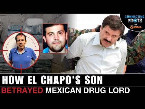 Mexican Drug Cartels Explained: El Chapo's Son Betrayed El Mayo | Connecting The Dots