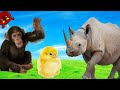 Farm Animal Sounds Farm Animals For Kids Learn Farm Animals Reinone Animal