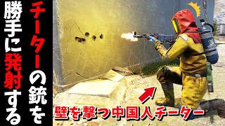 チーターが隠れてるタイミングで銃を暴発させてみたｗ【RUST 実況】