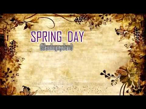 [Lời Việt] (Vietnamese cover) Spring Day - BTS | Banhquyden