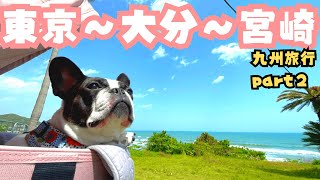 『宮崎に到着！ひまりさん初めて九州に上陸🐶』"We've arrived in Miyazaki! It's Mari's first time setting foot in Kyushu."