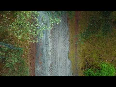 LAS Chojne 29.05.2021