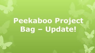 Peekaboo Project Bag - Update! {Closed Captioned}
