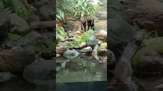 Download lagu August 3, 2024 mp3 Download lagu August 3, 2024 mp3