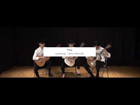 Libertango - Astor Piazzolla | Trio | 미지림 32회 정기 연주회