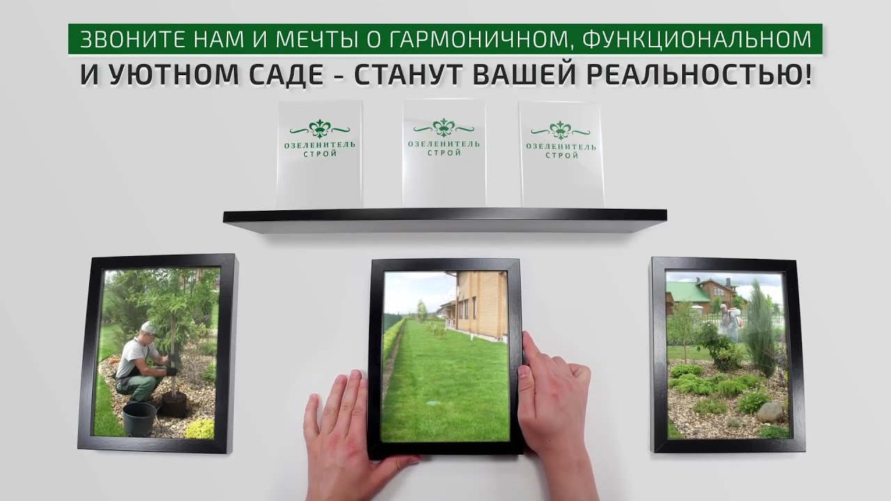 Постер видео