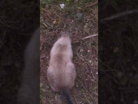 Omar, Zohra et Fiston 26 octobre 2019...