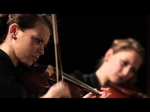 Armida Quartet: Bedřich Smetana Streichquartett Nr.1 e-moll