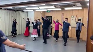 スタジオドラード、パルマクラス