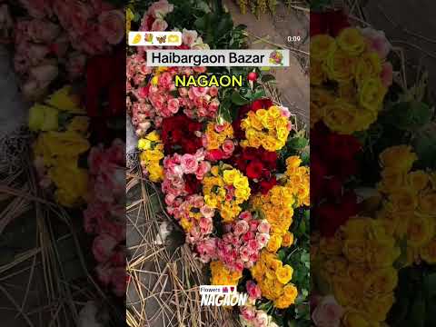 flowers 🌺🌹#love #explorevideos #shortvideo