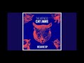 The Kiffness - Please Go Away Cat only 1 hour version