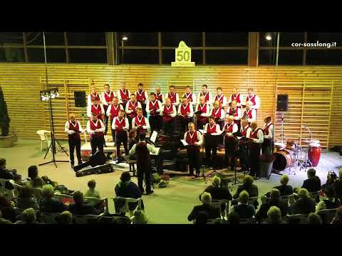 COR SASSLONG | Wolgalied - Franz Lehár (Der Zarewitsch: Allein, wieder allein)